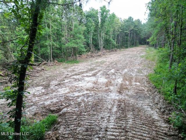 Land for sale in Roxie, Mississippi