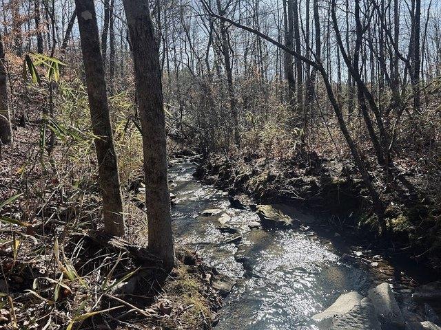 Land for sale in Wedowee, Alabama