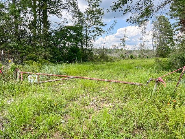 Land for sale in Kountze, Texas