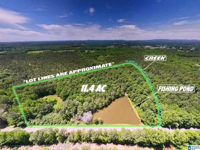 Land for sale in Ashland, Alabama