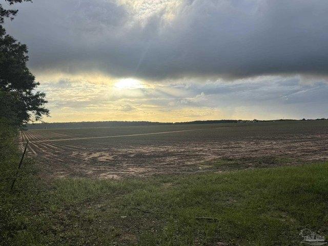 Land for sale in Range, Alabama