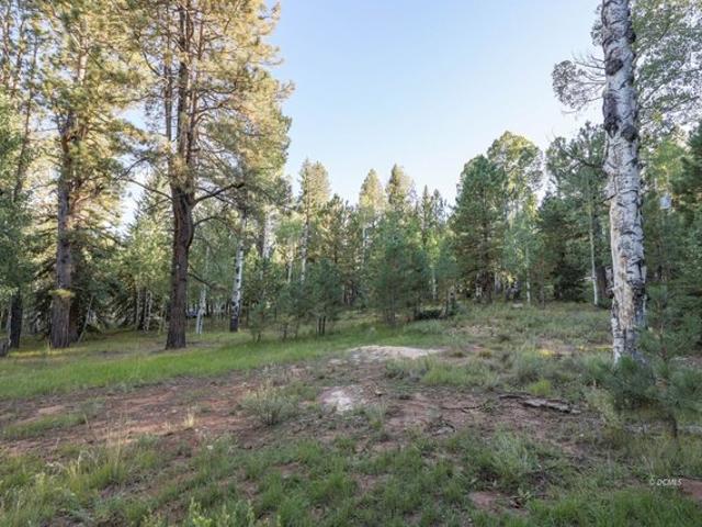 Land for sale in Duck Creek Village, Utah