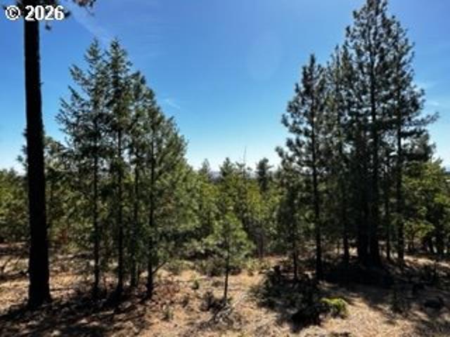 Land for sale in Goldendale, Washington