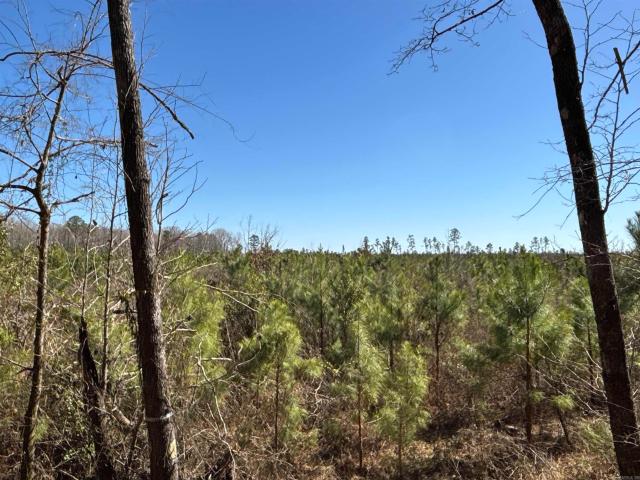 Land for sale in Sparkman, Clark County