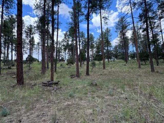 Land for sale in Timberon, New Mexico