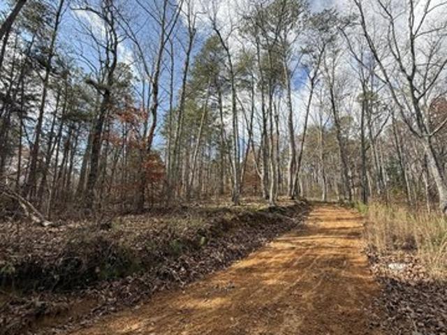 Land for sale in Tennessee