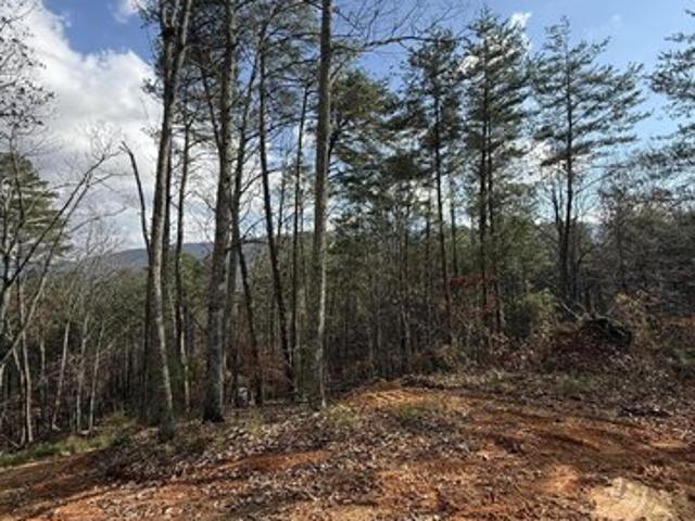 Land for sale in Benton, East Tennessee