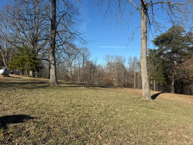 Land for sale in Albany, Kentucky