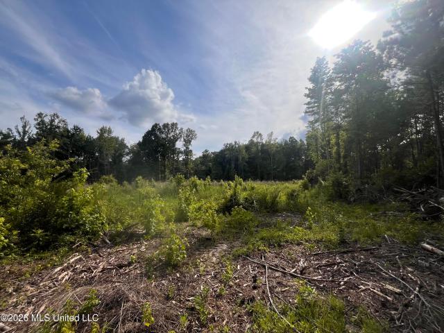 Land for sale in Forest, Mississippi