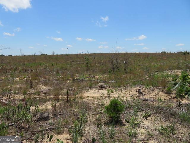 Land for sale in Buena Vista, Georgia