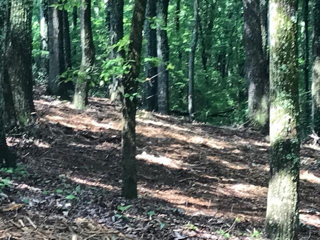Land for sale in Tennessee