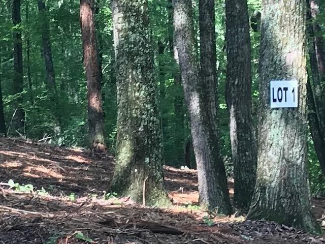 Land for sale in Tennessee