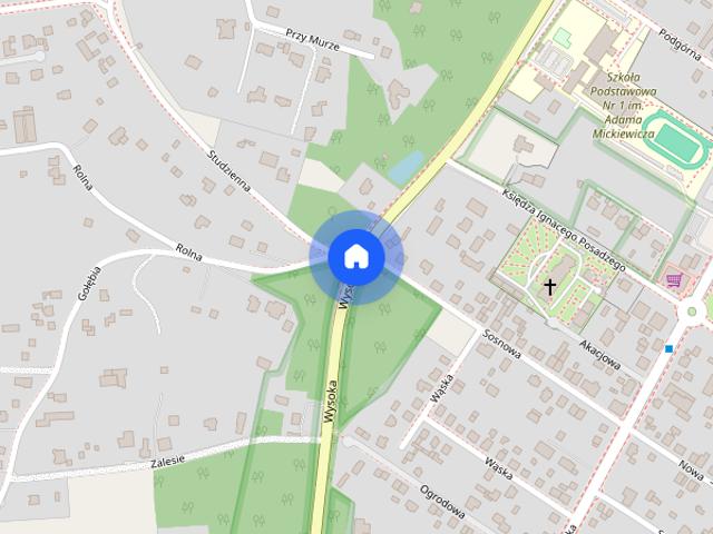 Mieszkanie do wynajęcia w Puszczykowo, Wielkopolskie