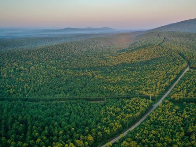 Land for sale in Ark