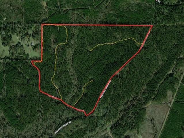 Land for sale in Utica, Mississippi