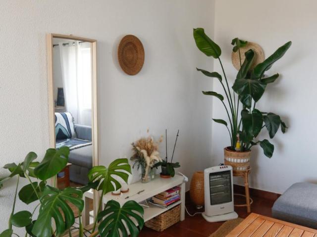 Apartamento alugar em Vale da Telha, Aljezur