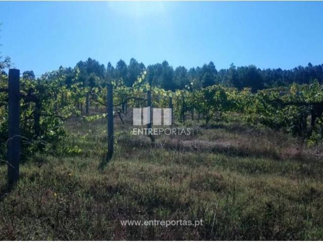 Casa venda em Várzea da Ovelha, Várzea Ovelha E Aliviada