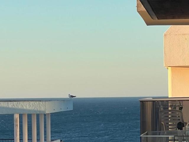 Apartamento alugar em Armação De Pêra, Faro