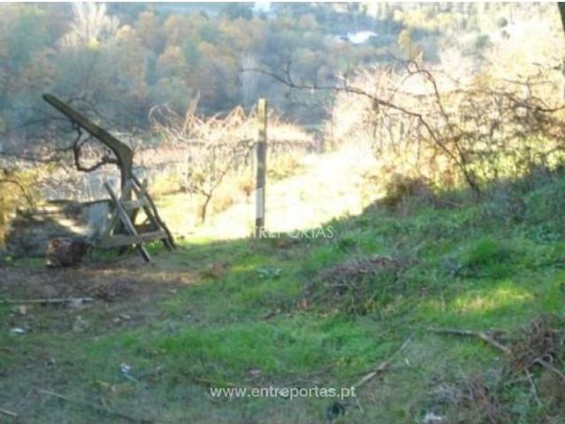 Casa venda em Nagoselo Do Douro, Viseu