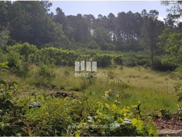 Casa venda em Rio de Galinhas, Marco De Canaveses