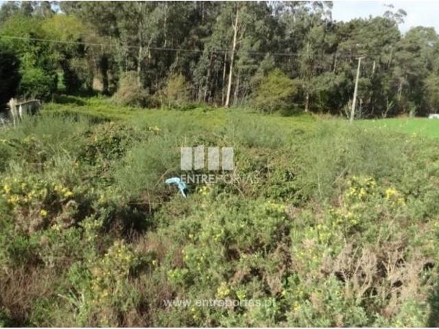 Casa venda em Arcozelo, Braga