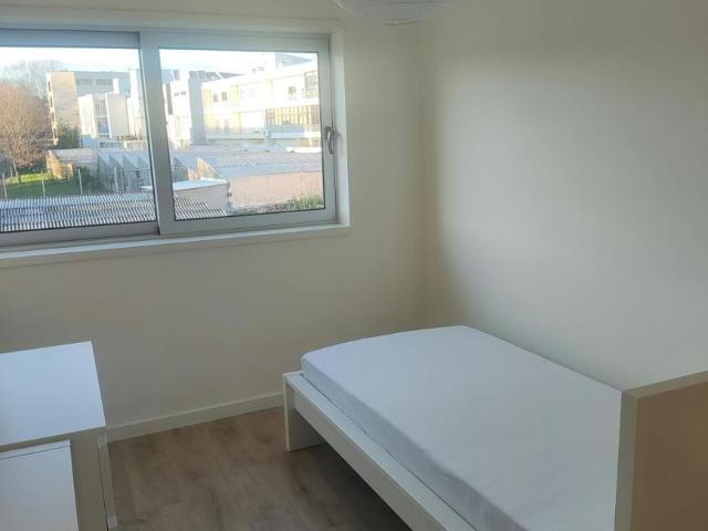 Quarto alugar em Braga (São Vítor), Braga