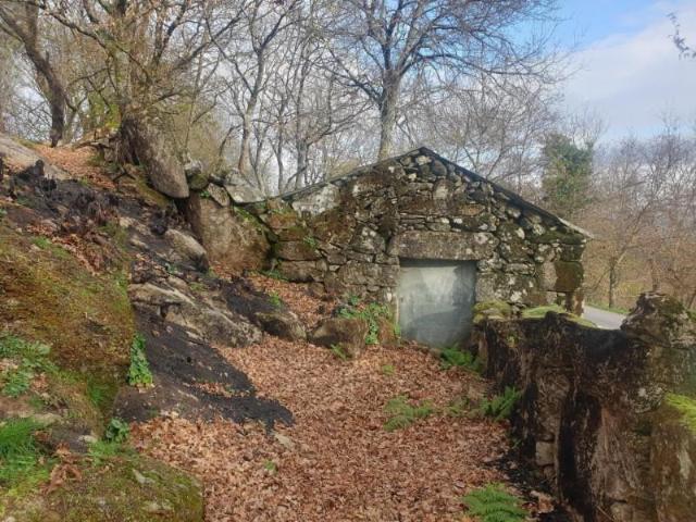 Terreno venda em Cabeceiras De Basto, Braga