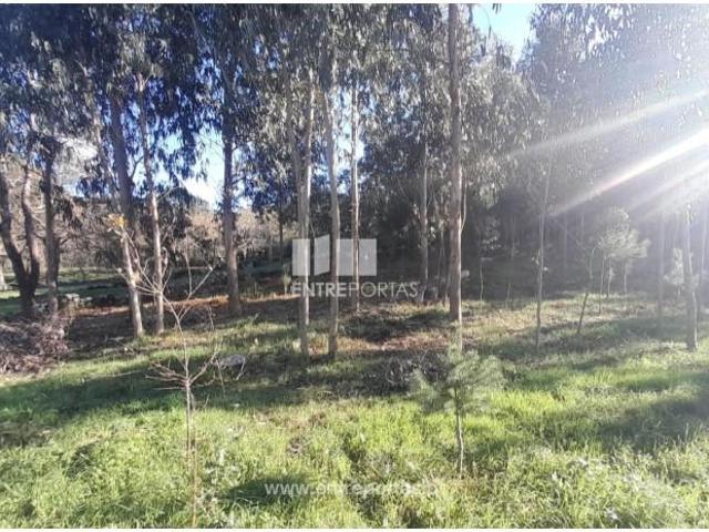 Casa venda em Gelfa, Arga De Baixo