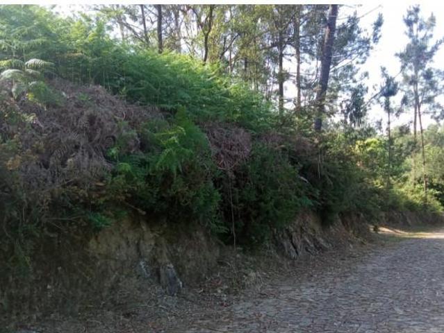 Casa venda em Caminha (Matriz) e Vilarelho, Arga De Baixo
