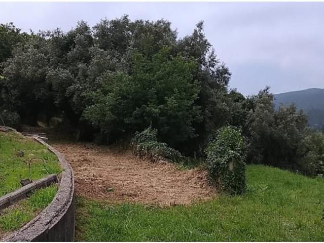 Casa venda em Caminha (Matriz) e Vilarelho, Arga De Baixo