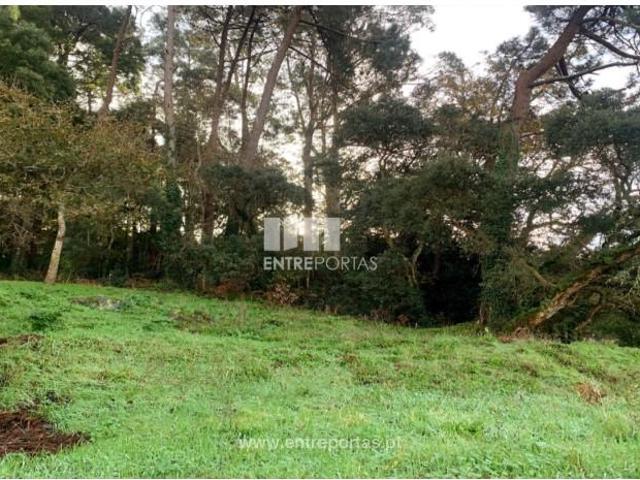 Casa venda em Caminha (Matriz) e Vilarelho, Arga De Baixo