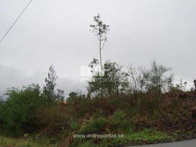 Casa venda em Caminha (Matriz) e Vilarelho, Arga De Baixo