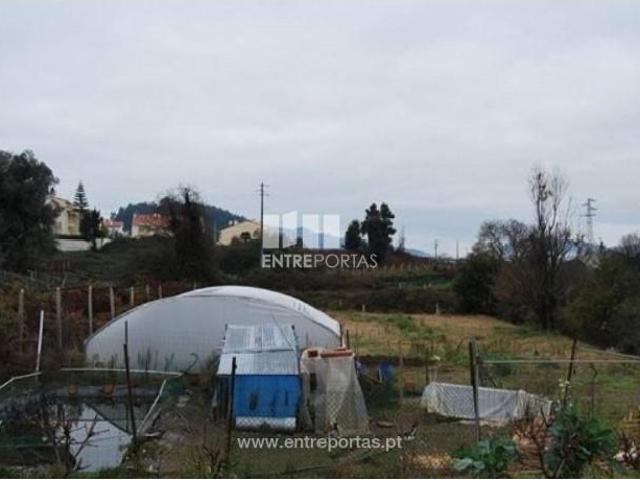 Casa venda em Caminha (Matriz) e Vilarelho, Arga De Baixo