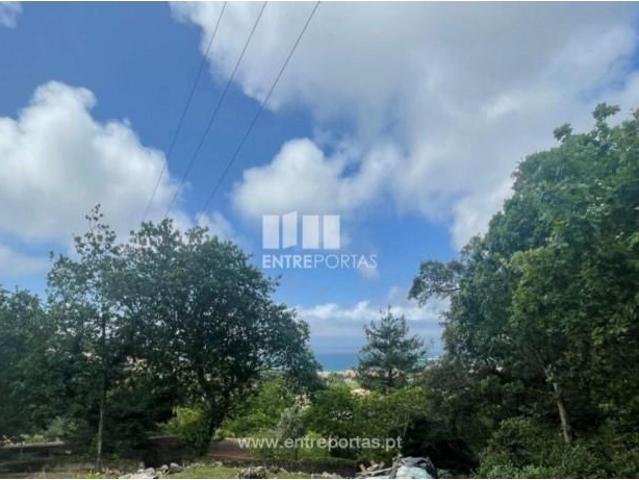 Casa venda em Caminha (Matriz) e Vilarelho, Arga De Baixo