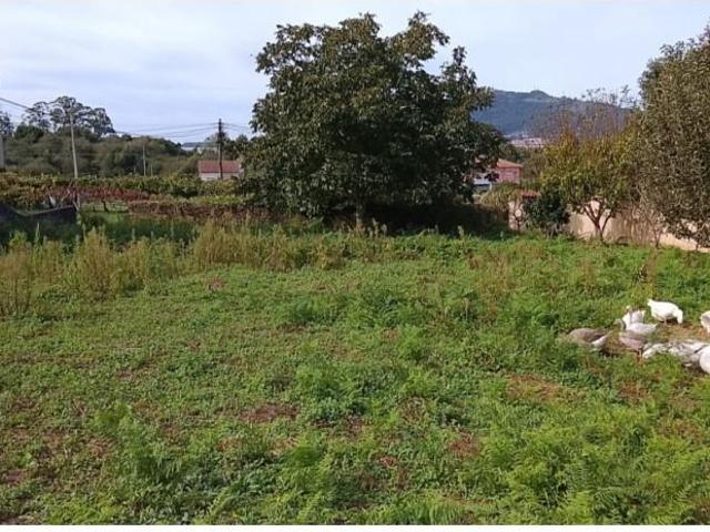 Casa venda em Caminha (Matriz) e Vilarelho, Caminha