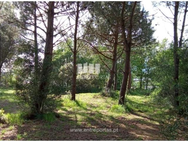 Casa venda em Caminha (Matriz) e Vilarelho, Arga De Baixo