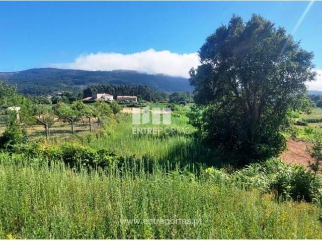 Casa venda em Caminha (Matriz) e Vilarelho, Arga De Baixo