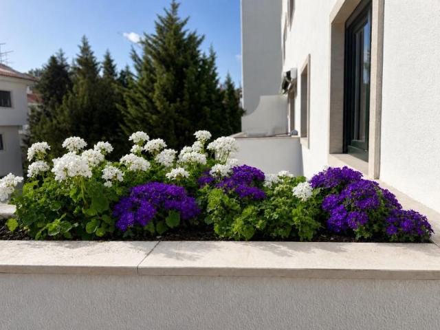 Apartamento alugar em Santo António do Estoril, Cascais