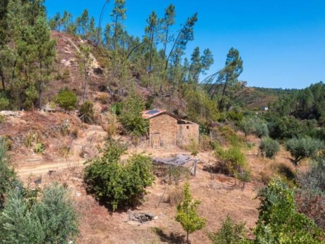 Casa venda em Castelo Branco