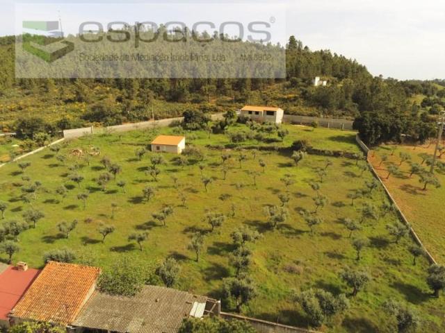 Terreno venda em Castelo Branco