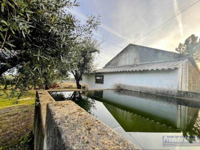 Casa venda em Castelo Branco, Aldeia Nova Do Cabo