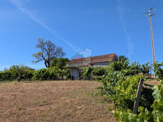 Casa venda em Castelo Branco, Cumeada