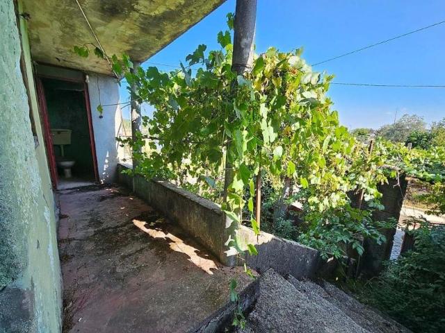 Casa venda em Castro Daire, Viseu