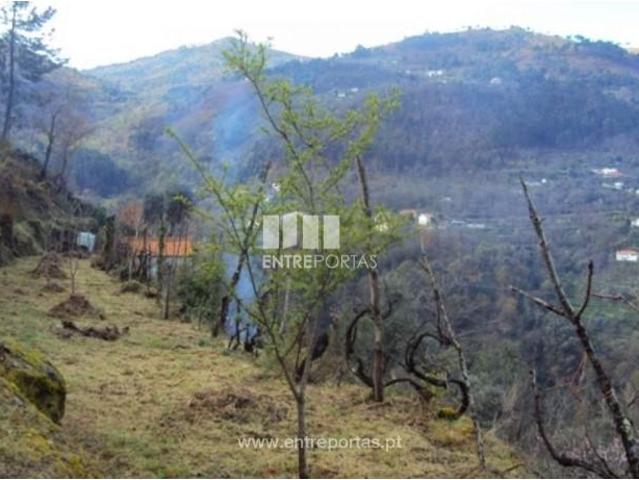 Casa venda em Ruivais, Ferreiros De Tendais