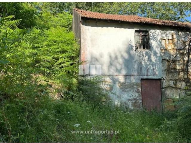 Casa venda em Cinfães, Viseu