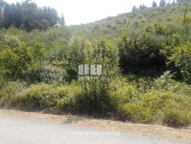 Casa venda em Tarouquela, Viseu