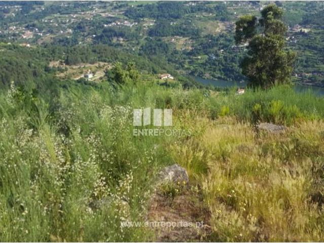 Casa venda em Meijoadas, Espadanedo