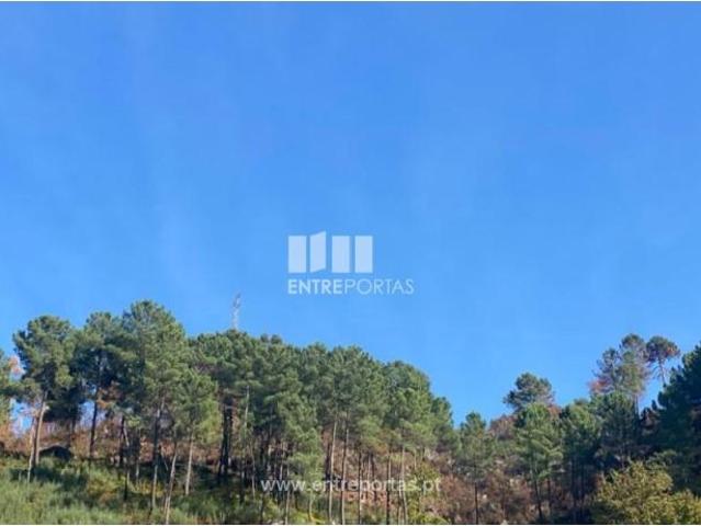 Casa venda em São Cristóvão De Nogueira, Viseu