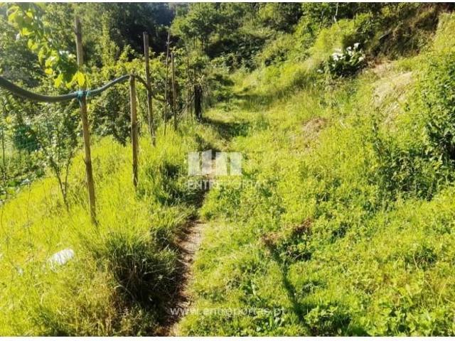 Casa venda em Santiago De Piães, Viseu