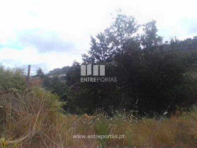 Casa venda em Santiago De Piães, Viseu